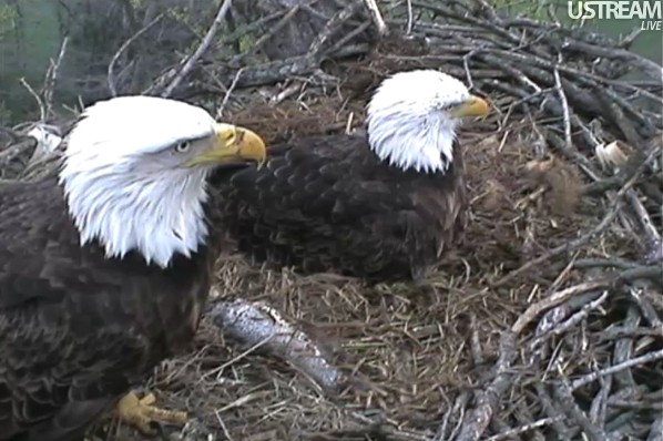 ScreenHunter_12 Mar. 31 11.25.jpg